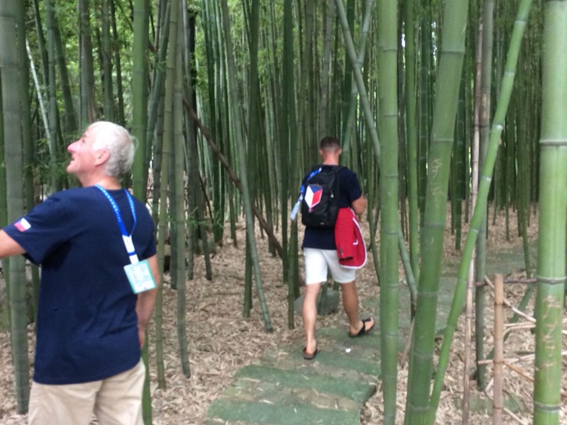 AMS 2018 Shanghai